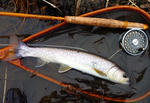 20110331002.jpg