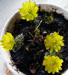 20110403001.jpg