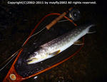 20110404001.jpg