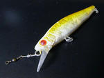 20110417001.jpg