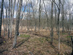 20110430001.jpg