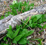 20110430002.jpg