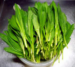 20110430003.jpg