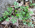 20110507001.jpg