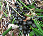 20110508001.jpg