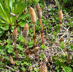 20110519001.jpg