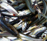 20110524002.jpg