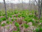 20110529002.jpg