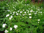 20110529004.jpg