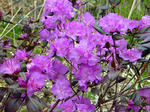 20110529005.jpg
