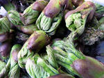 20110529006.jpg