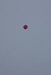 20110601001.jpg