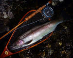 20110602001.jpg