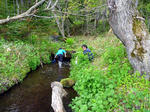 20110604002.jpg