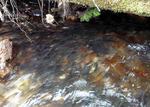 20110604003.jpg
