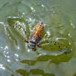 20110613001.jpg