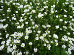 20110614001.jpg