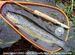 20110619003.jpg