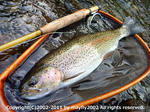 20110621001.jpg