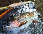 20110621003.jpg
