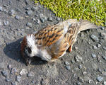 20110623001.jpg