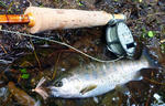 20110626002.jpg