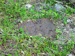 20110626003.jpg
