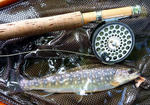 20110626004.jpg