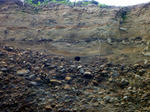 20110626005.jpg