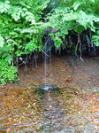 20110626006.jpg
