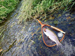 20110705003.jpg
