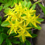 20110706001.jpg