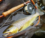 20110708001.jpg