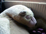 20110716001.jpg