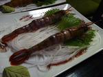 20110812002.jpg