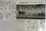 20110819001.jpg