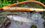 20110821001.jpg