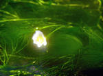 20110830001.jpg