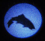 20110901002.jpg