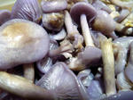 20110907001.jpg