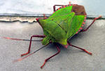20110908001.jpg