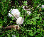 20110913001.jpg