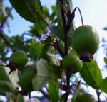 20110914001.jpg