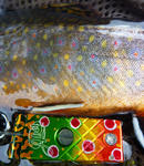 20110924001.jpg