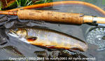 20110925001.jpg