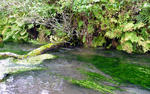 20110925002.jpg
