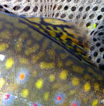 20110925004.jpg