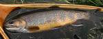 20110925005.jpg