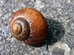 20110926001.jpg