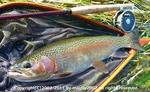 20111003001.jpg